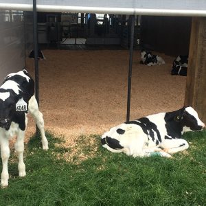 Public Expectations of a Dairy Farm